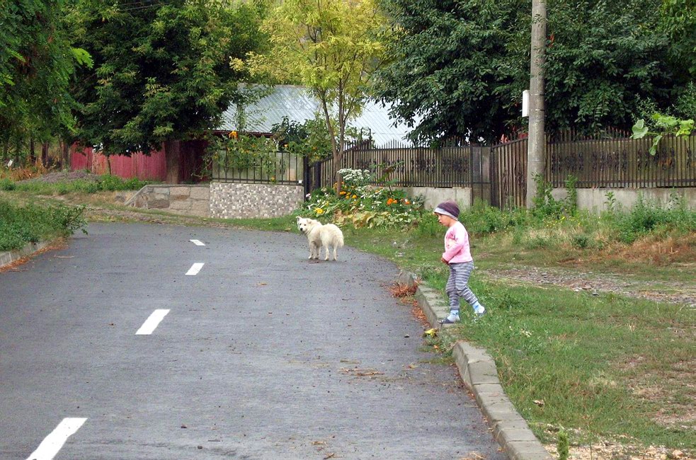 un cățel și o fetiță dobrogeană